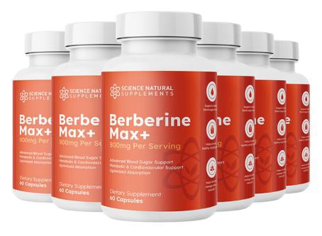 Berberine Max+ 6 Bottle